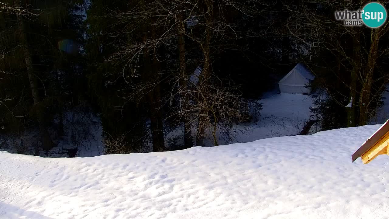 Webcam Lukanja – Water Village | Pohorje Houses