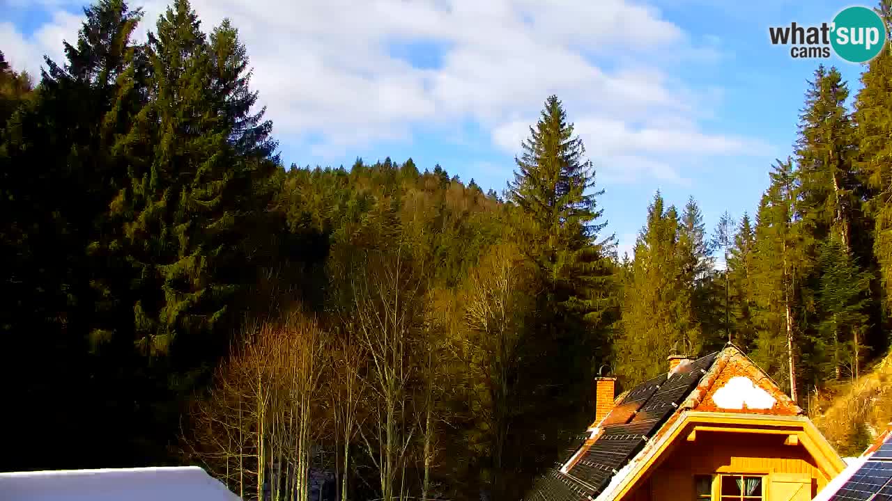 Web kamera Lukanja – Water Village | Pohorje Houses