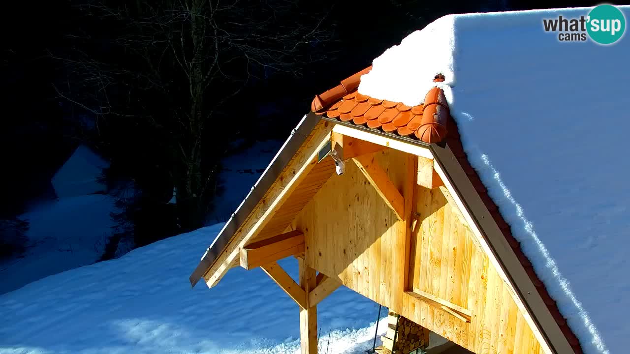 Web kamera Lukanja – Water Village | Pohorje Houses