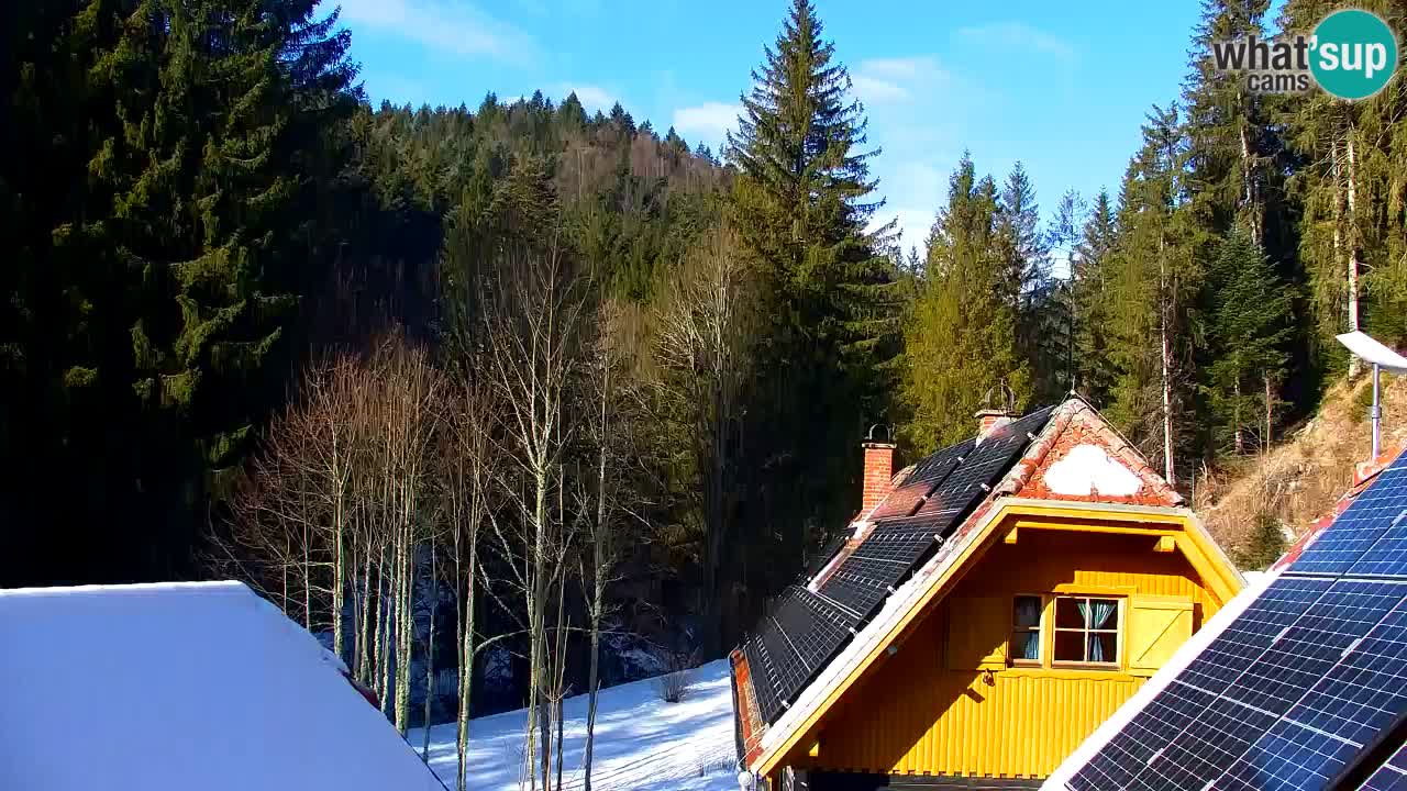 Webcam Lukanja – Pohorje houses a Water village