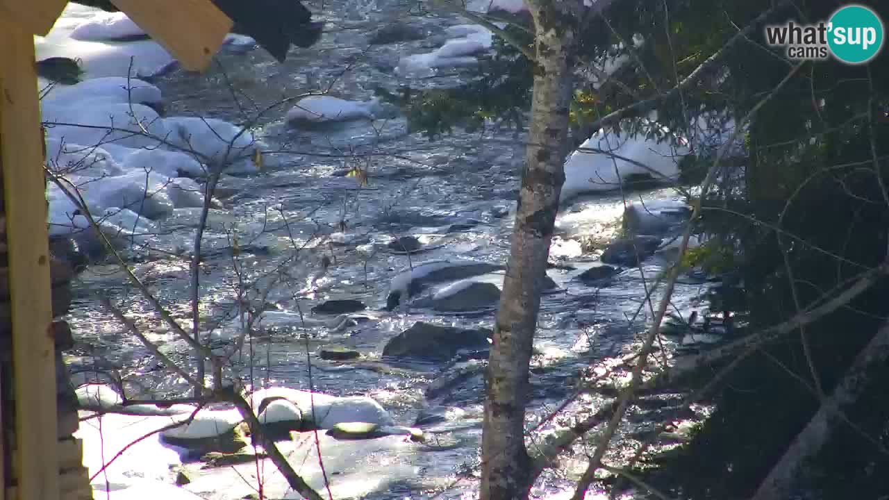Webcam Lukanja – Pohorje houses a Water village