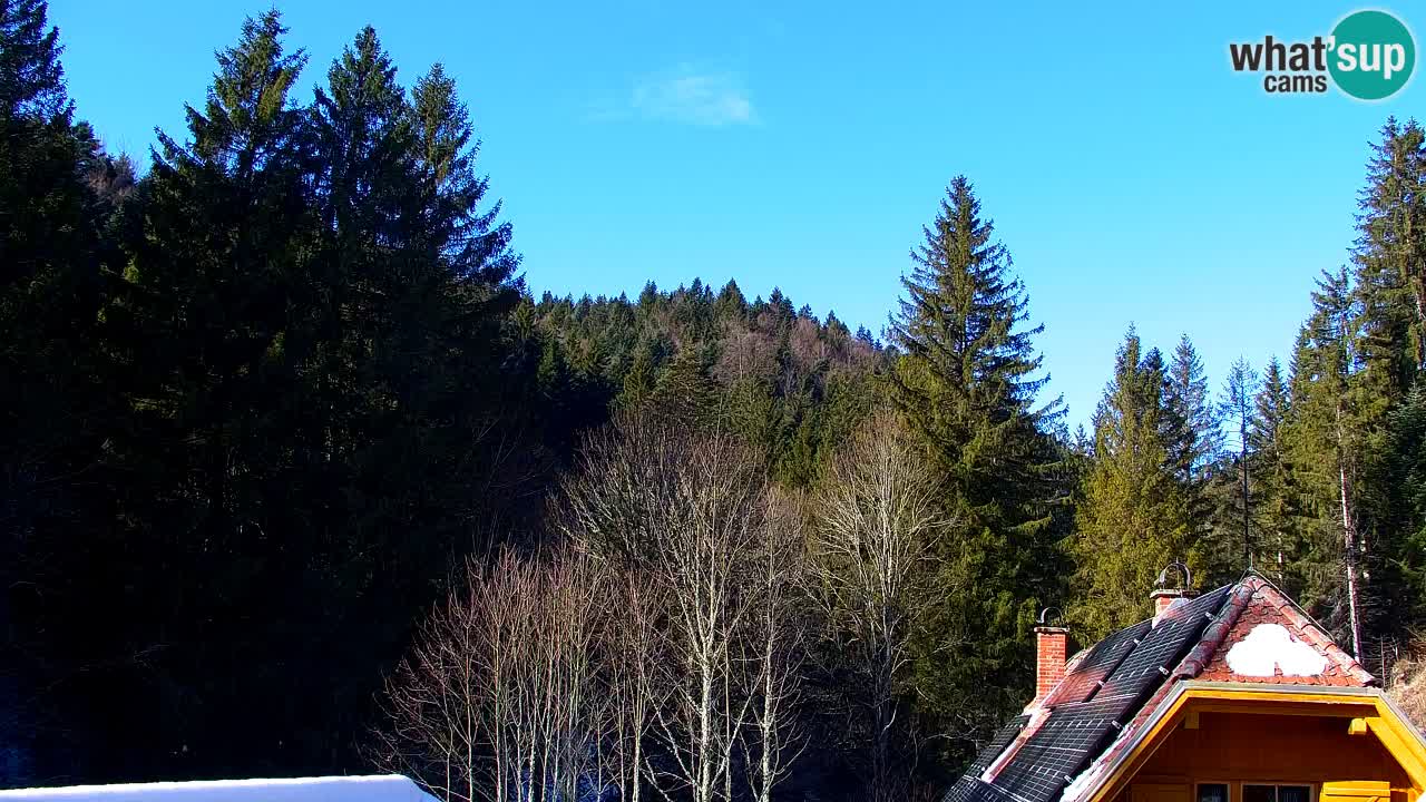 Web kamera Lukanja – Water Village | Pohorje Houses