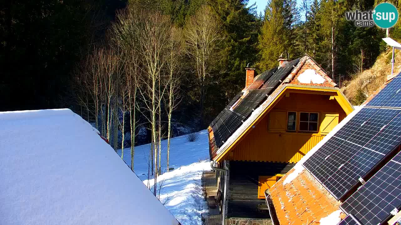 Web kamera Lukanja – Water Village | Pohorje Houses