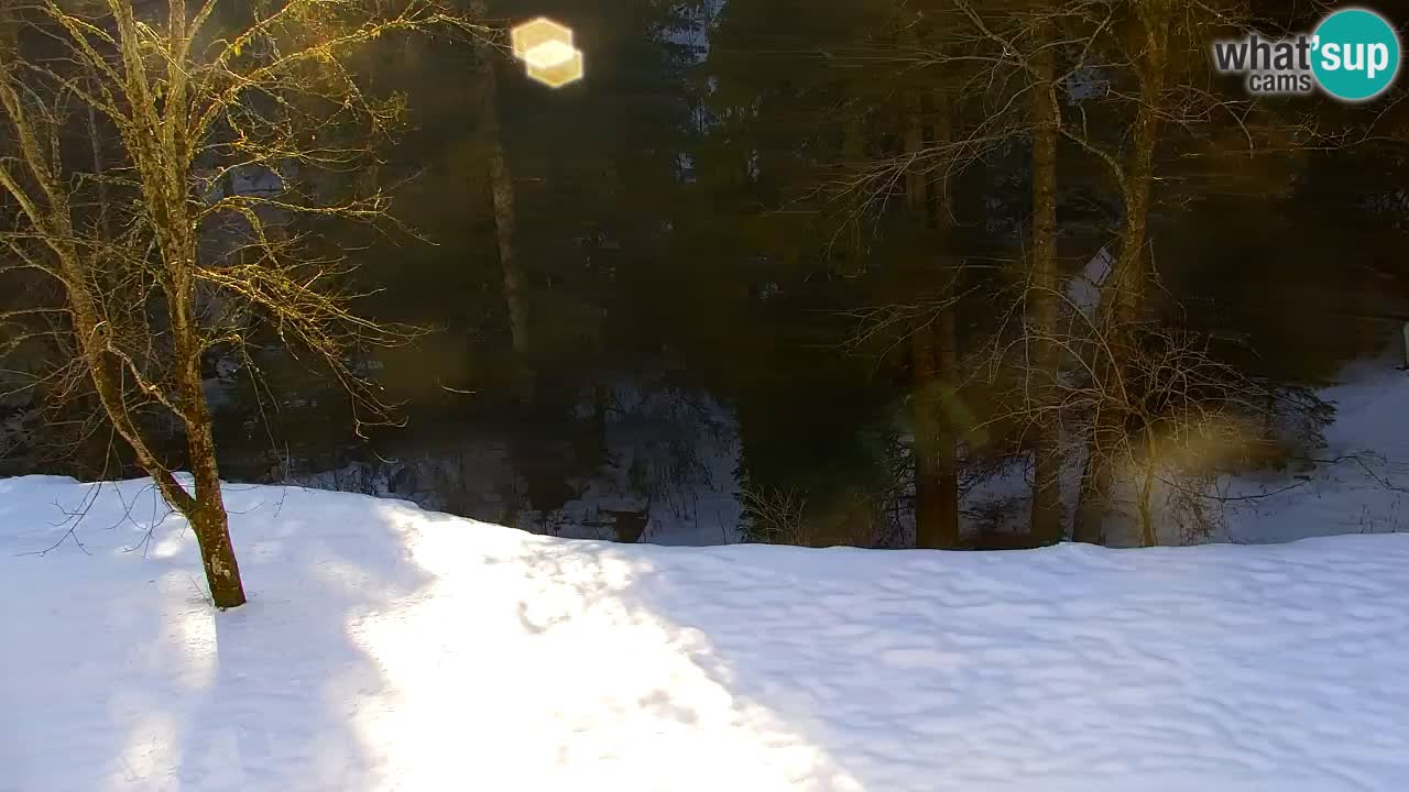 Webcam Lukanja – Pohorje houses a Water village