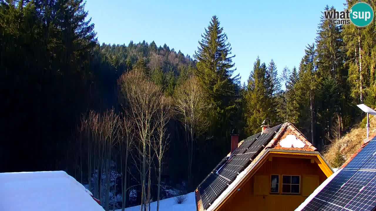 Webcam Lukanja – Pohorje houses a Water village