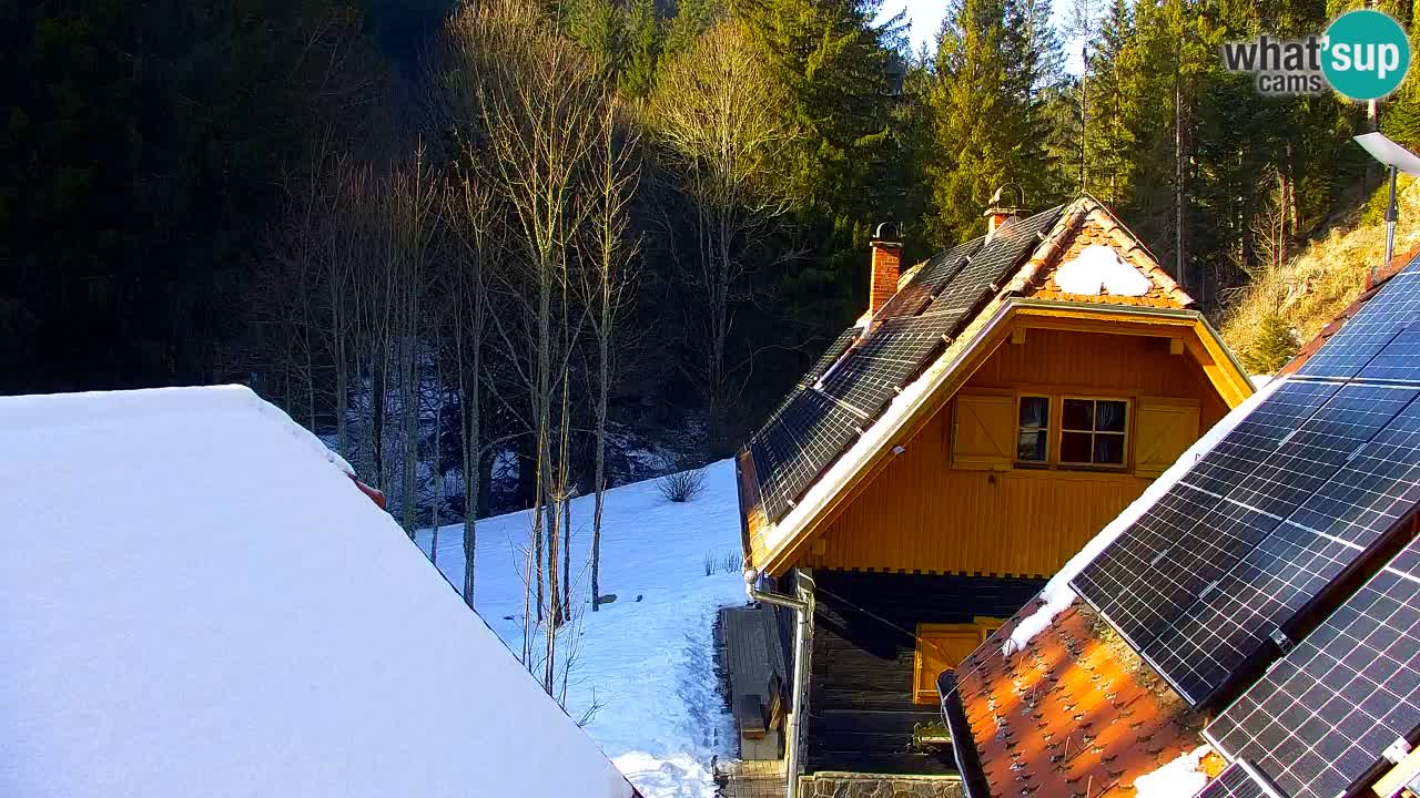 Web kamera Lukanja – Water Village | Pohorje Houses