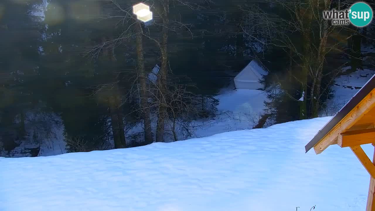 Webcam Lukanja – Water Village | Pohorje Houses