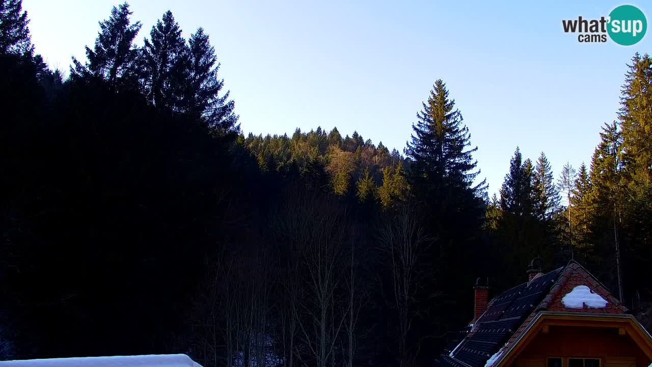 Spletna kamera Lukanja – Water Village | Pohorje Houses