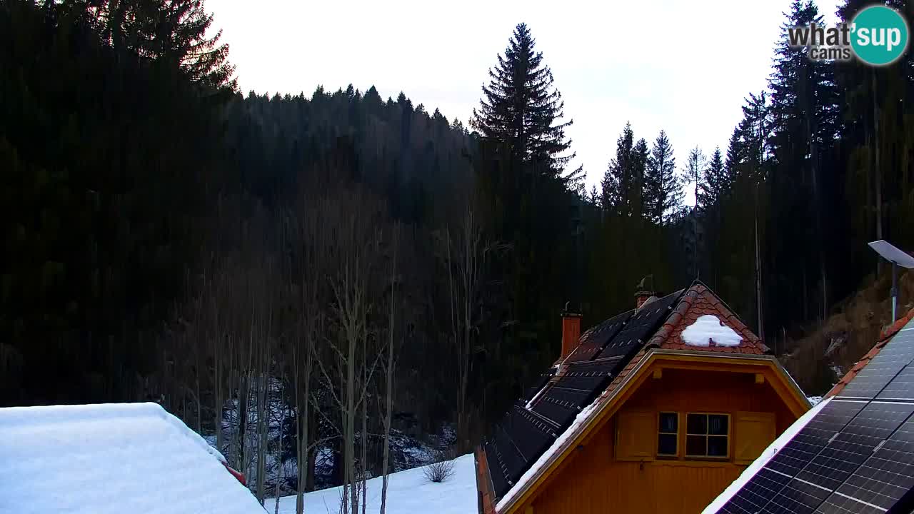 Spletna kamera Lukanja – Water Village | Pohorje Houses