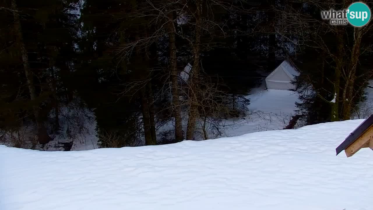 Webcam Lukanja – Water Village | Pohorje Houses