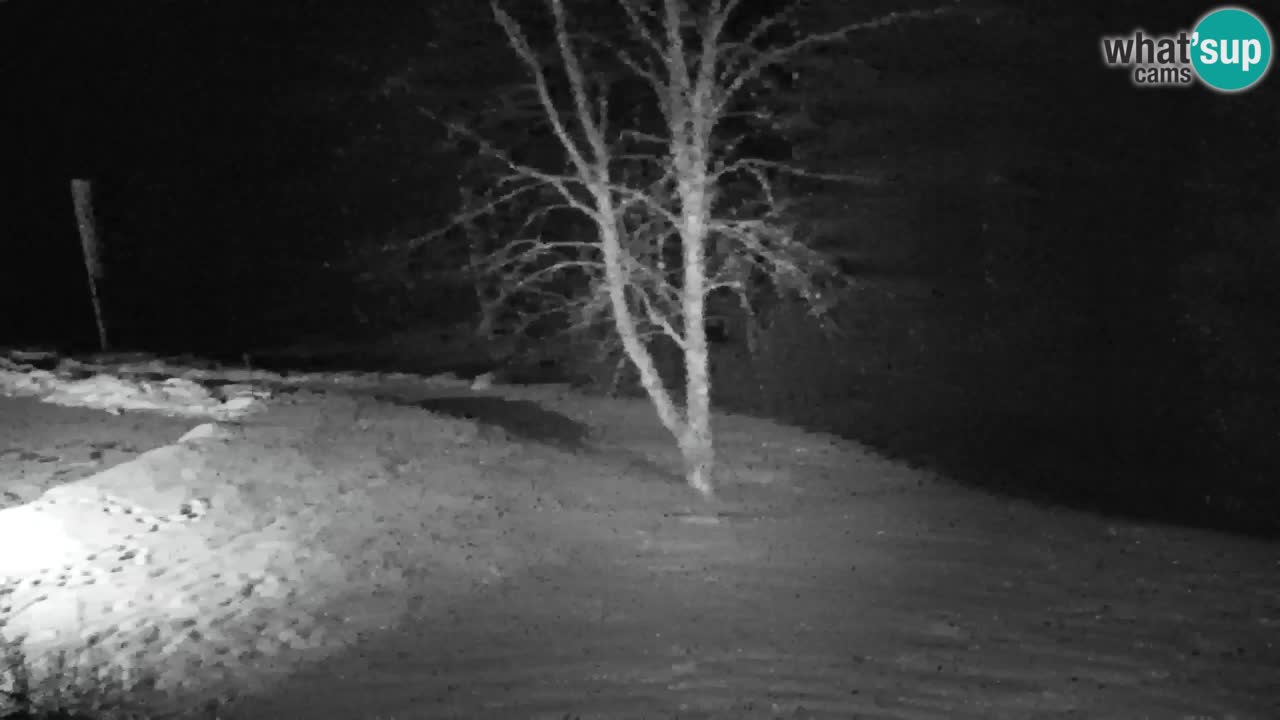 Spletna kamera Lukanja – Water Village | Pohorje Houses