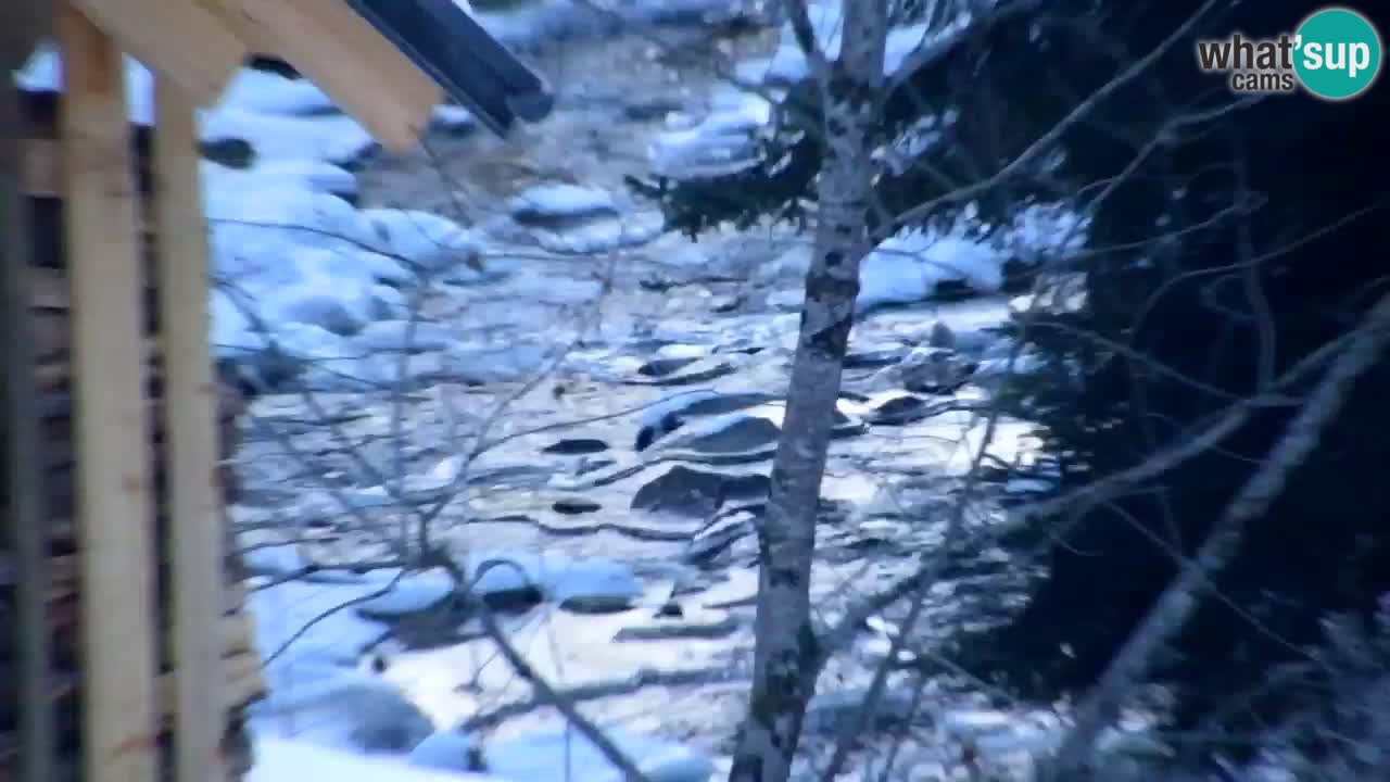 Webcam Lukanja – Pohorje houses a Water village