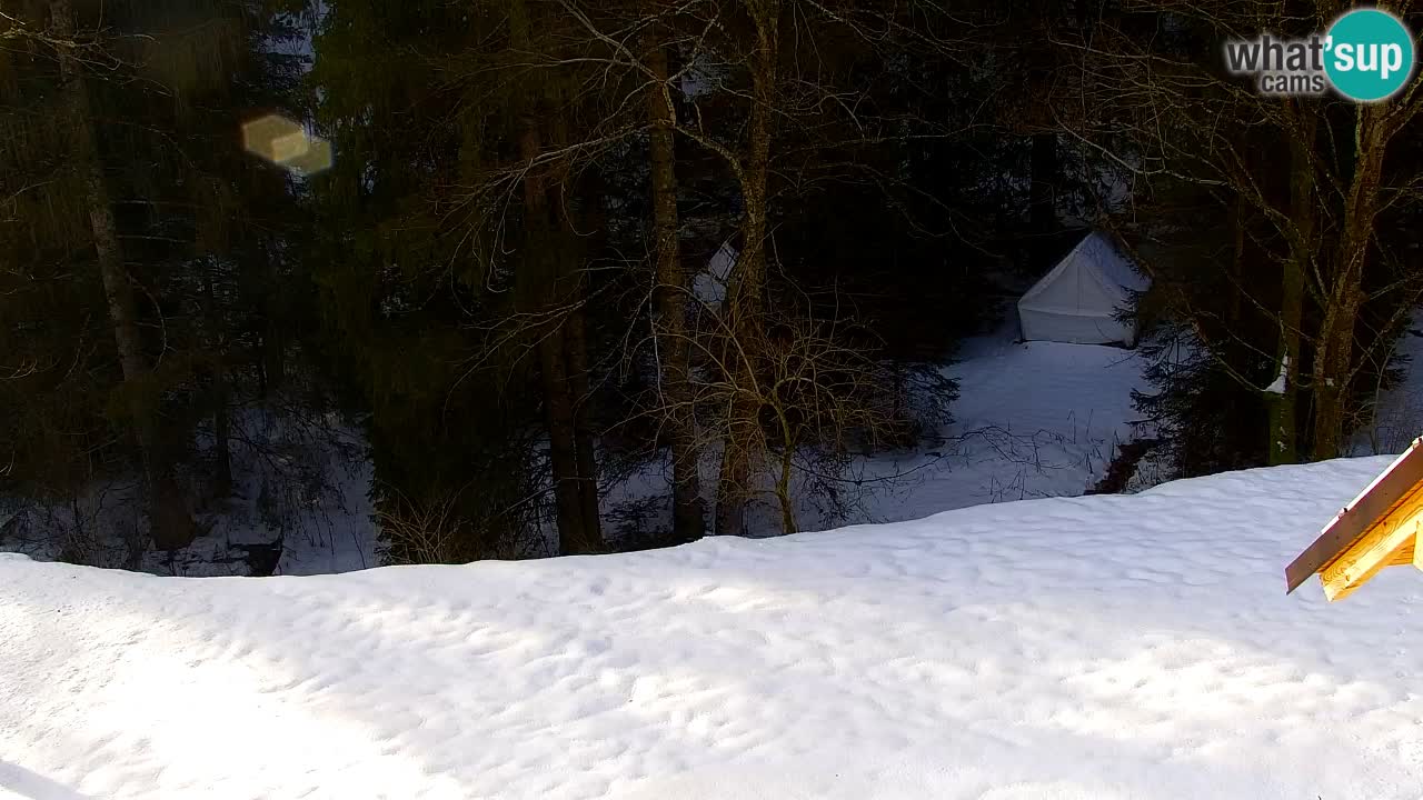 Webcam Lukanja – Water Village | Pohorje Houses