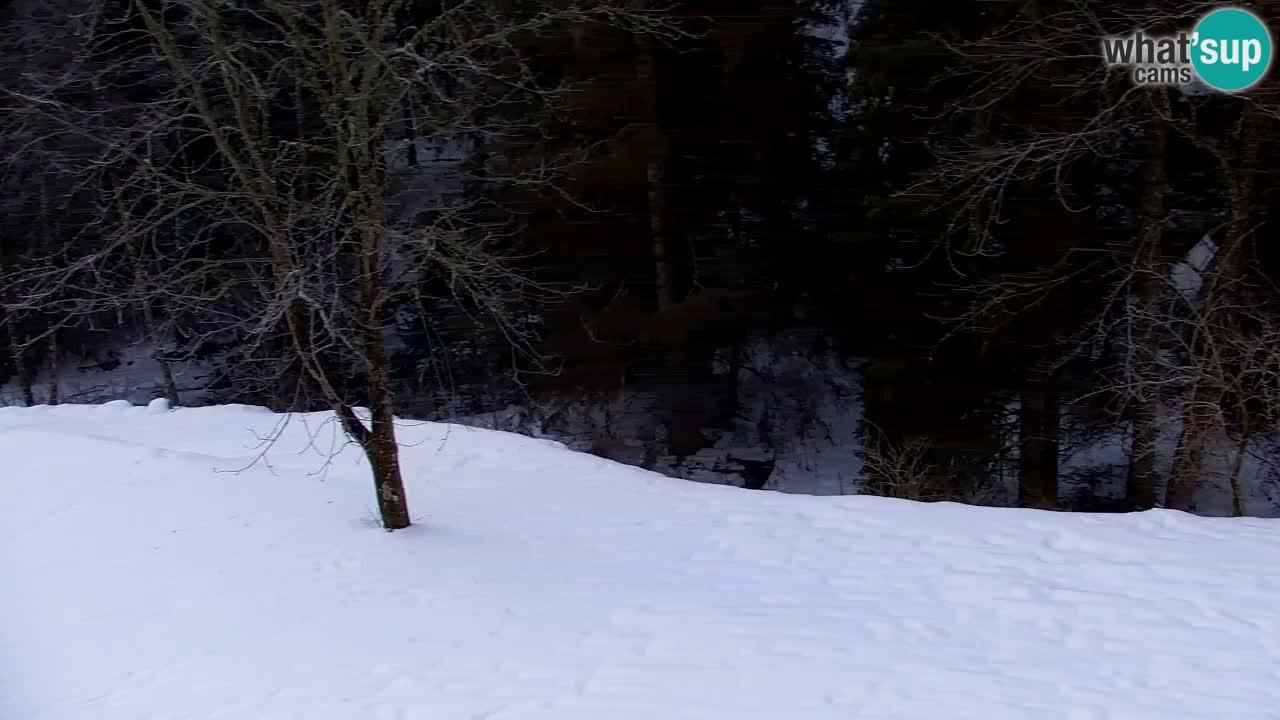 Spletna kamera Lukanja – Water Village | Pohorje Houses