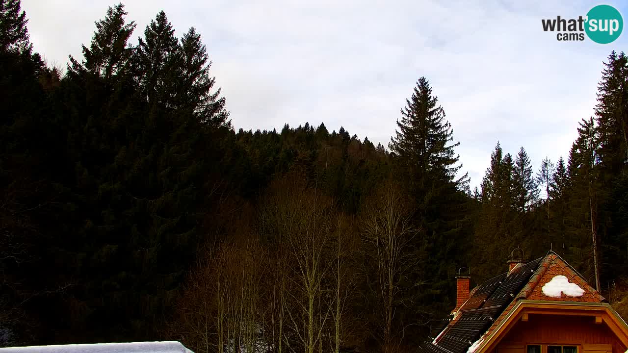 Webcam Lukanja – Pohorje houses a Water village