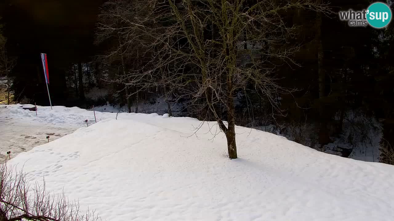 Webcam Lukanja – Water Village | Pohorje Houses