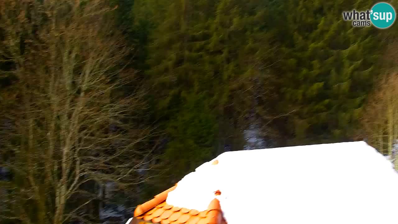 Webcam Lukanja – Water Village | Pohorje Houses