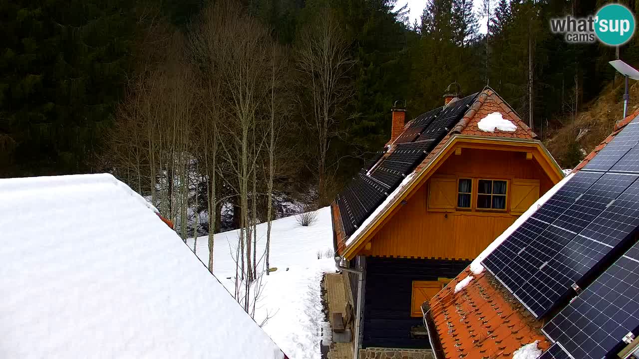Webcam Lukanja – Pohorje houses a Water village