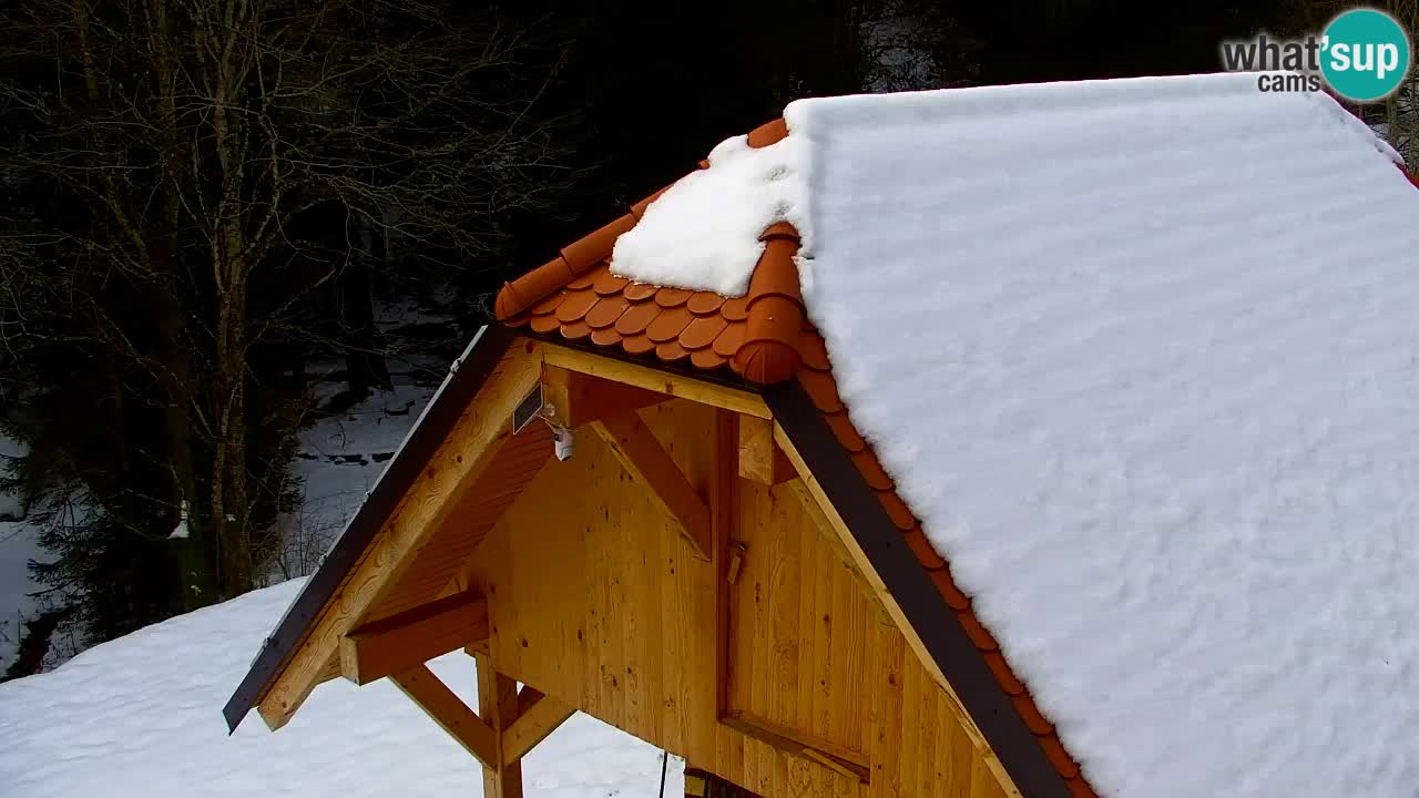 Webcam Lukanja – Pohorje houses a Water village