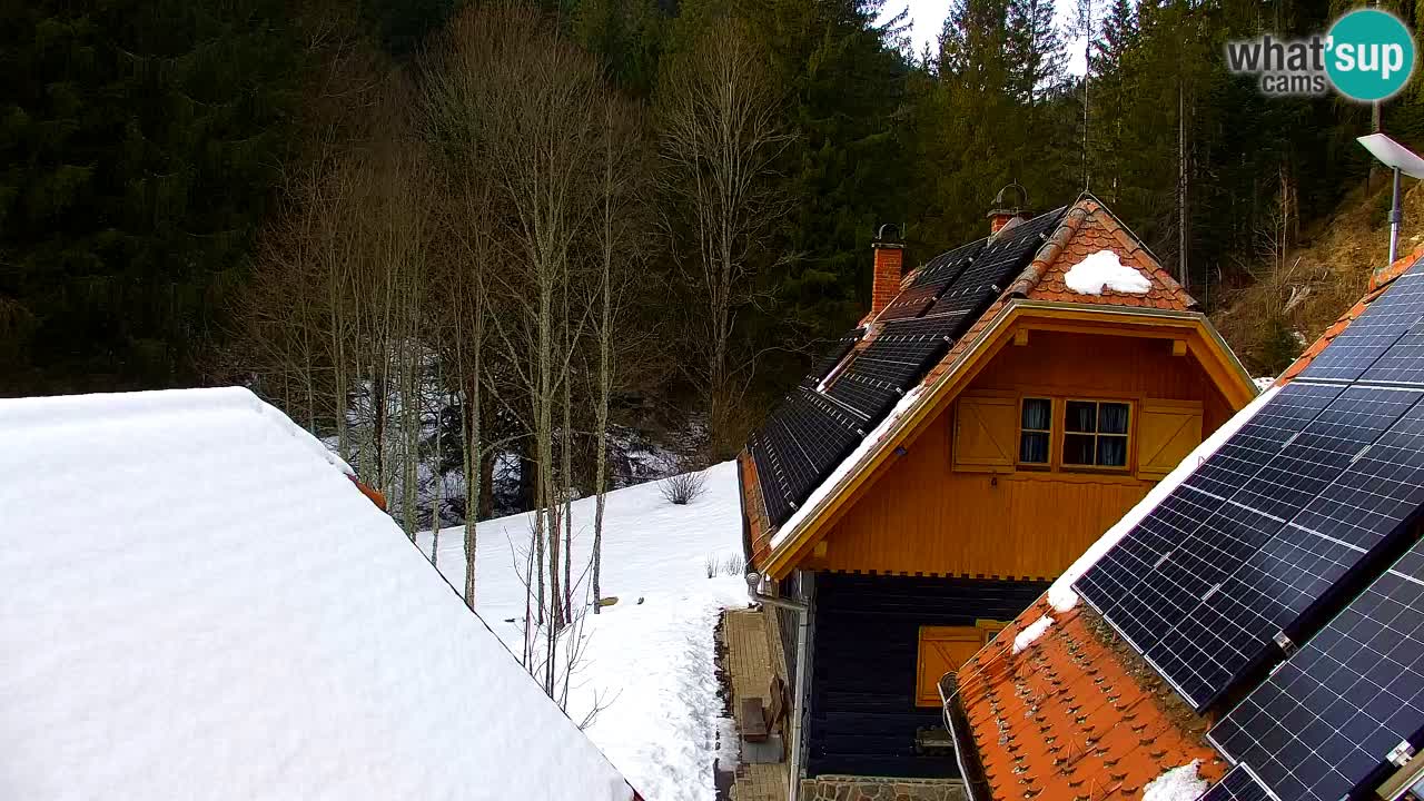 Webcam Lukanja – Water Village | Pohorje Houses