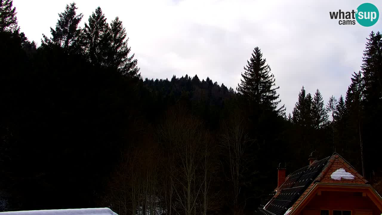 Spletna kamera Lukanja – Water Village | Pohorje Houses