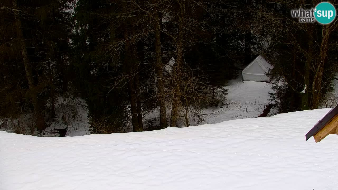 Webcam Lukanja – Water Village | Pohorje Houses