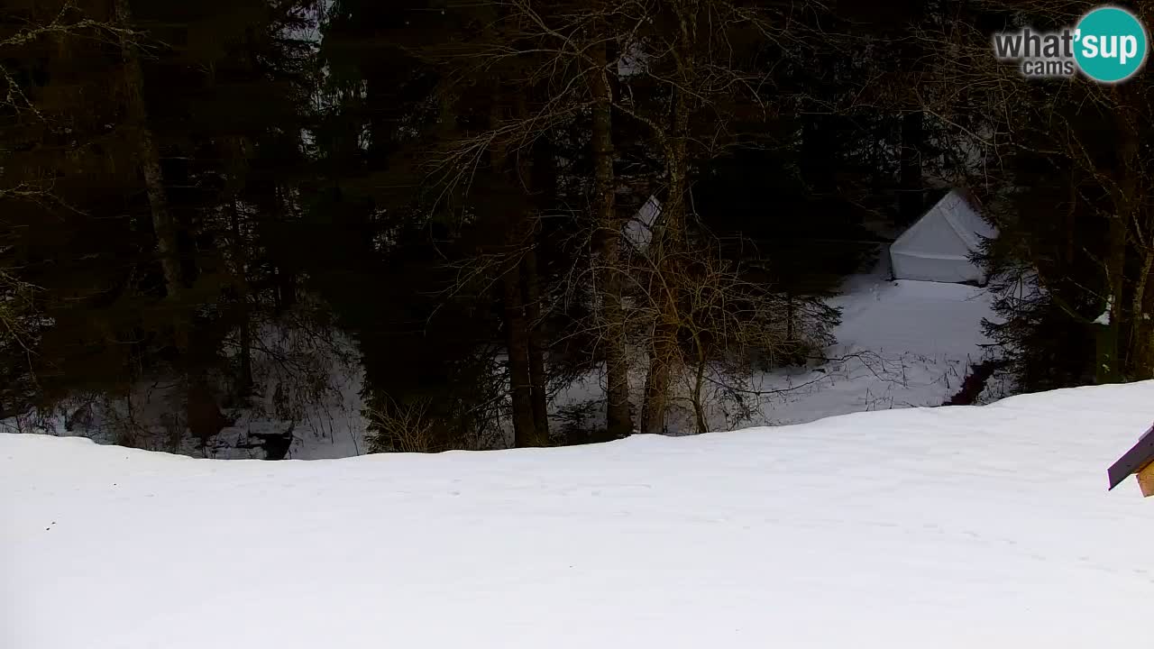 Webcam Lukanja – Water Village | Pohorje Houses