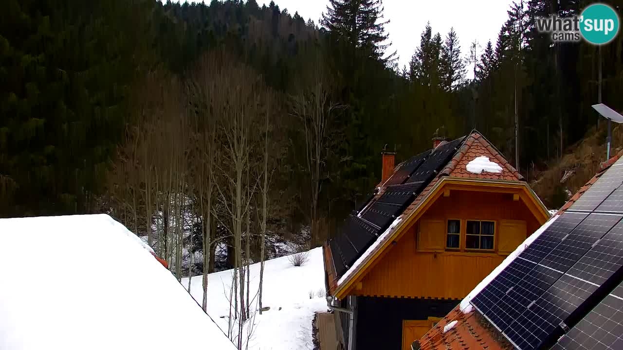 Webcam Lukanja – Water Village | Pohorje Houses