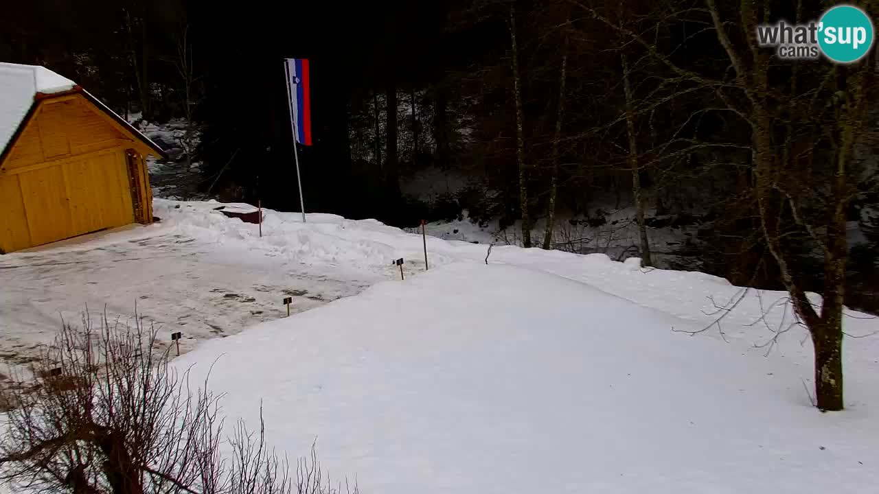 Spletna kamera Lukanja – Water Village | Pohorje Houses