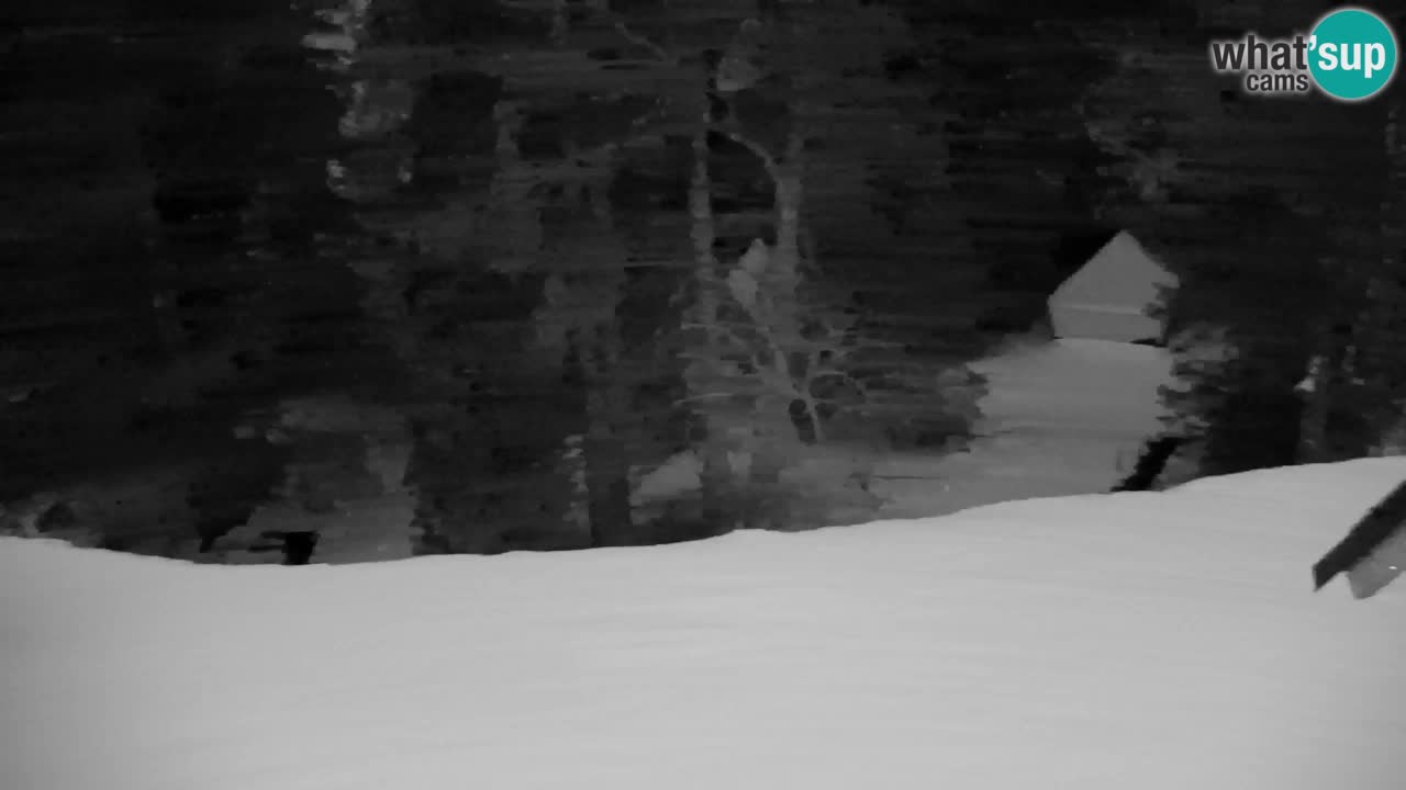 Webcam Lukanja – Pohorje houses a Water village