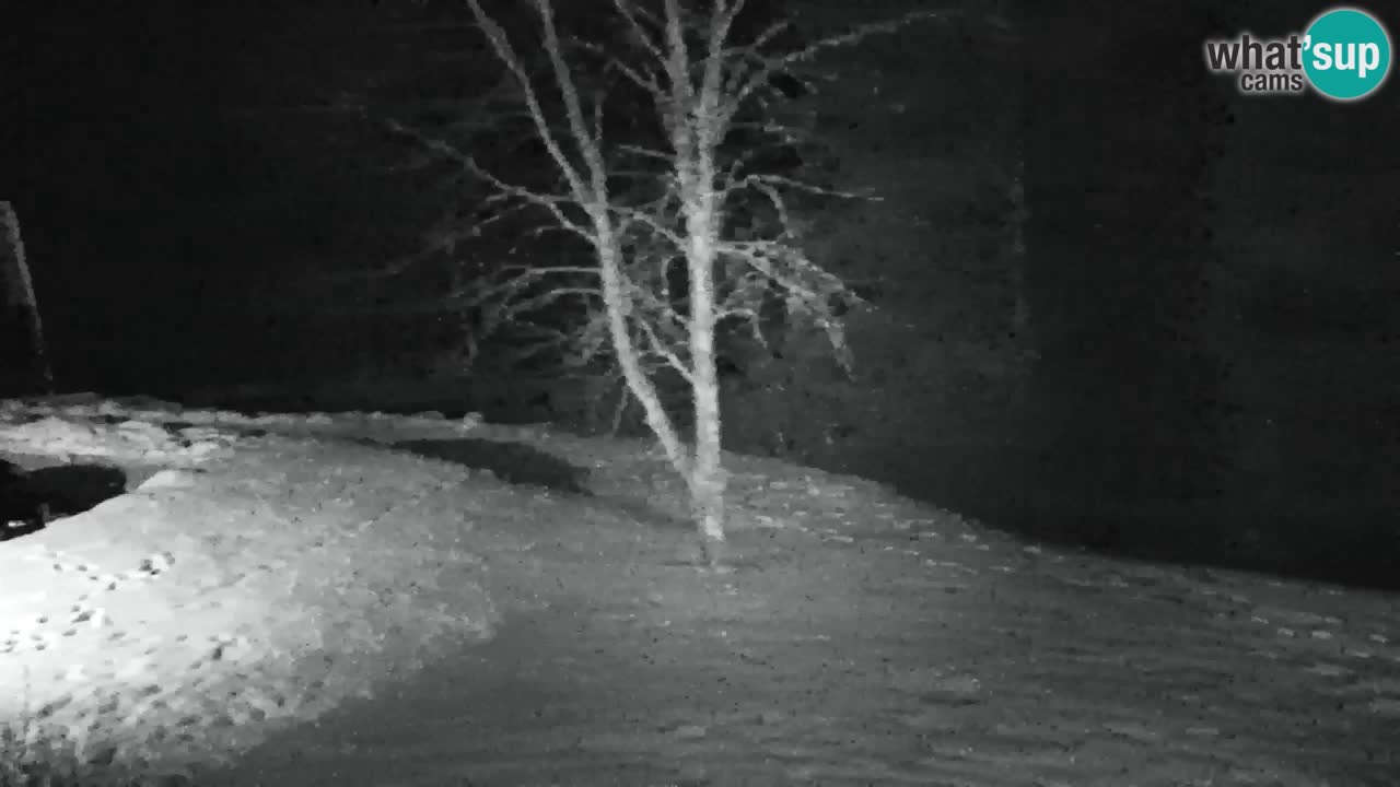 Web kamera Lukanja – Water Village | Pohorje Houses