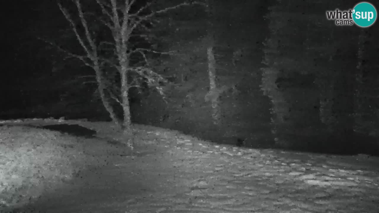 Spletna kamera Lukanja – Water Village | Pohorje Houses