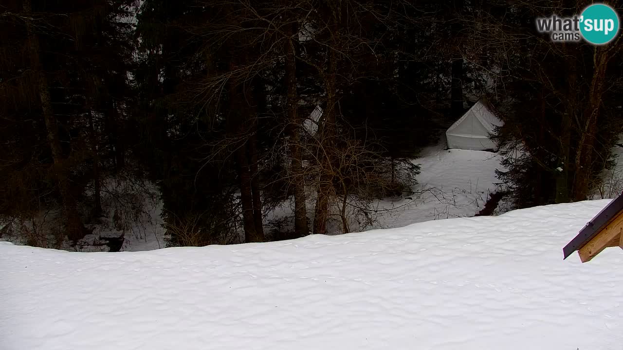 Webcam Lukanja – Pohorje houses a Water village