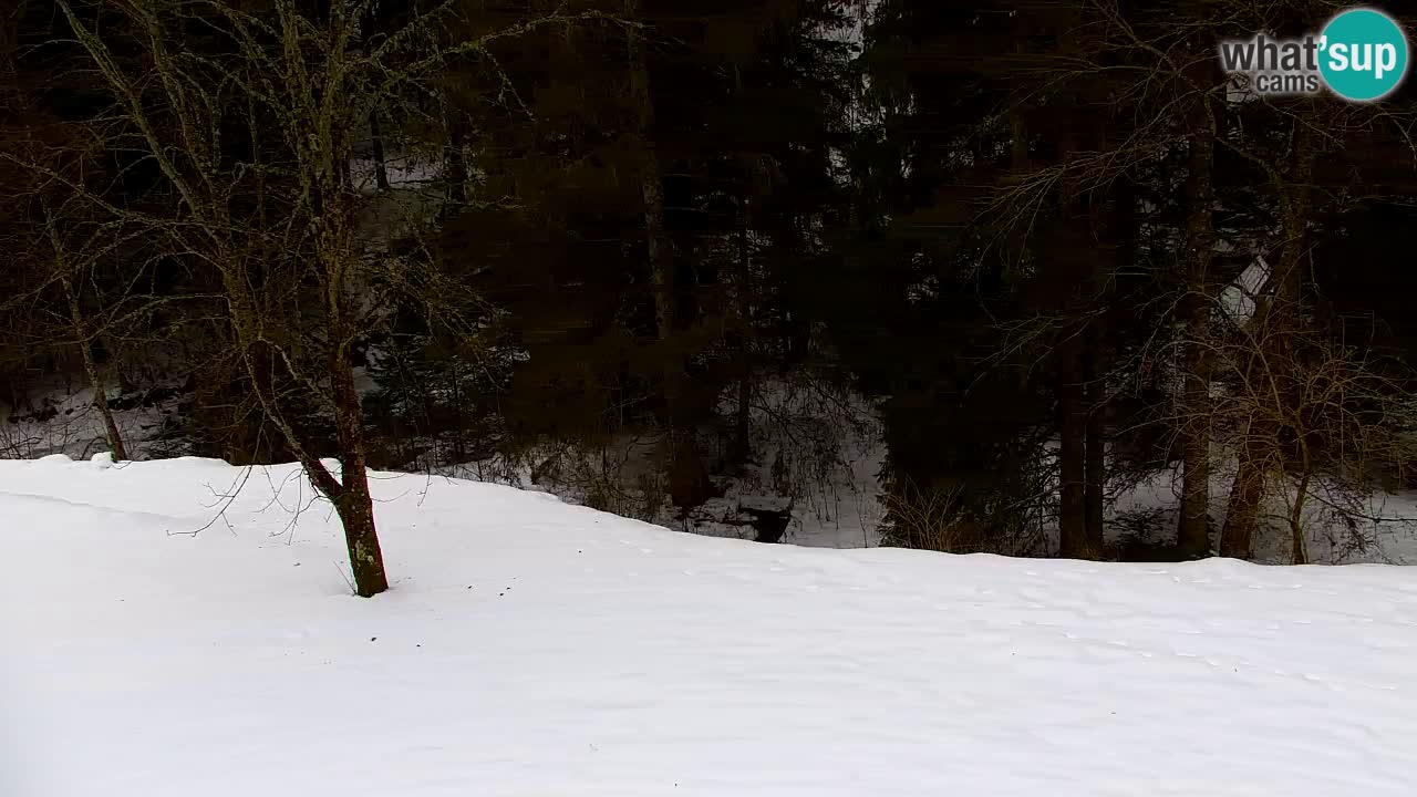 Webcam Lukanja – Water Village | Pohorje Houses