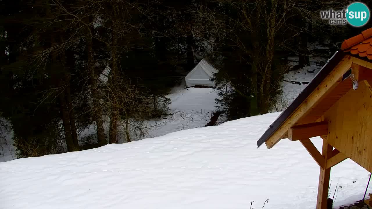 Webcam Lukanja – Water Village | Pohorje Houses