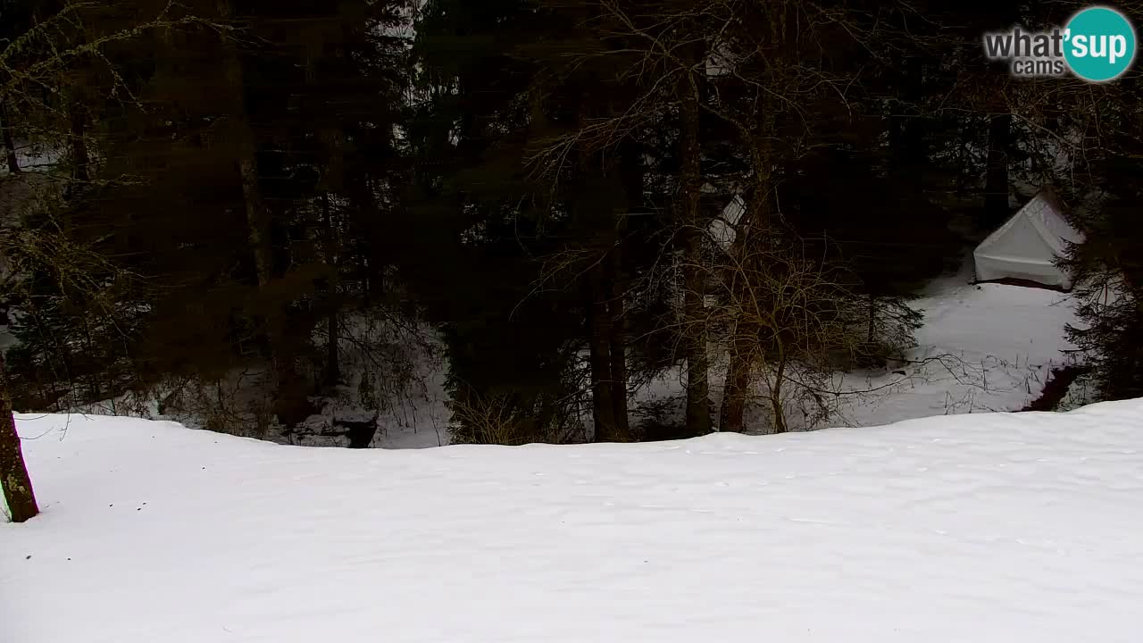 Webcam Lukanja – Pohorje houses a Water village