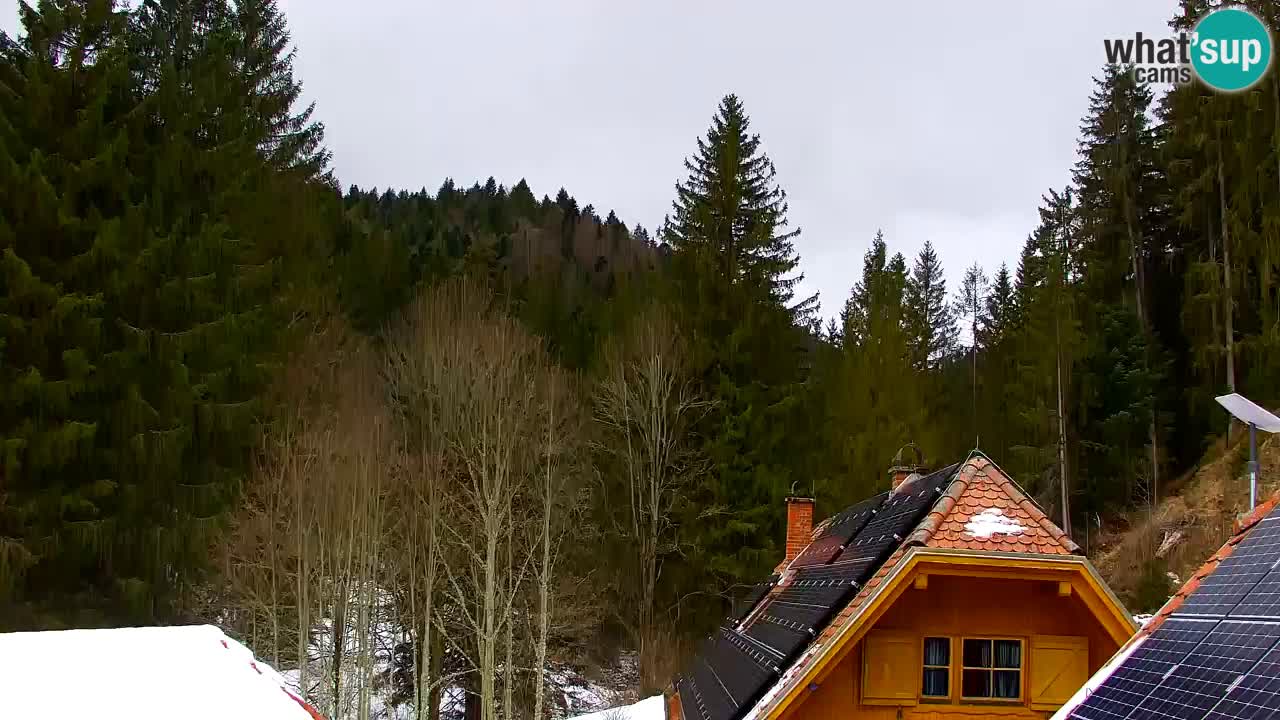 Spletna kamera Lukanja – Water Village | Pohorje Houses