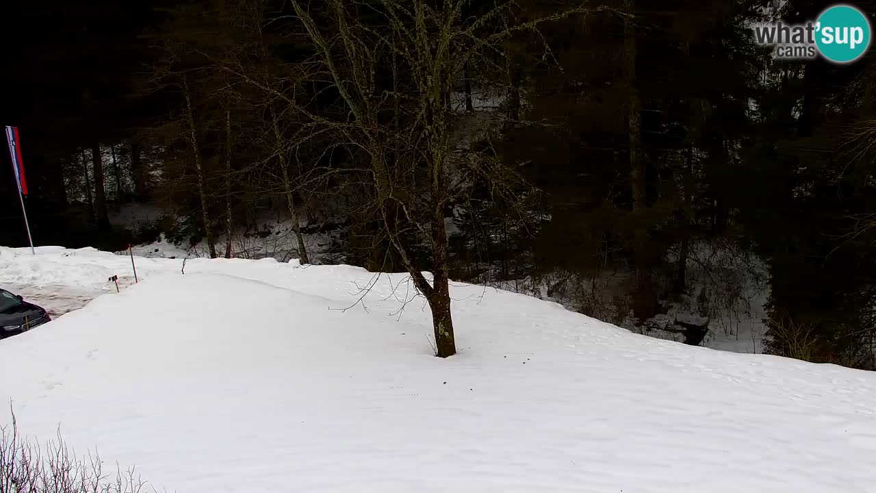 Webcam Lukanja – Water Village | Pohorje Houses