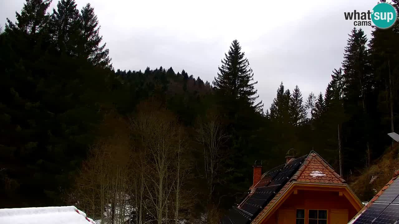 Webcam Lukanja – Pohorje houses a Water village