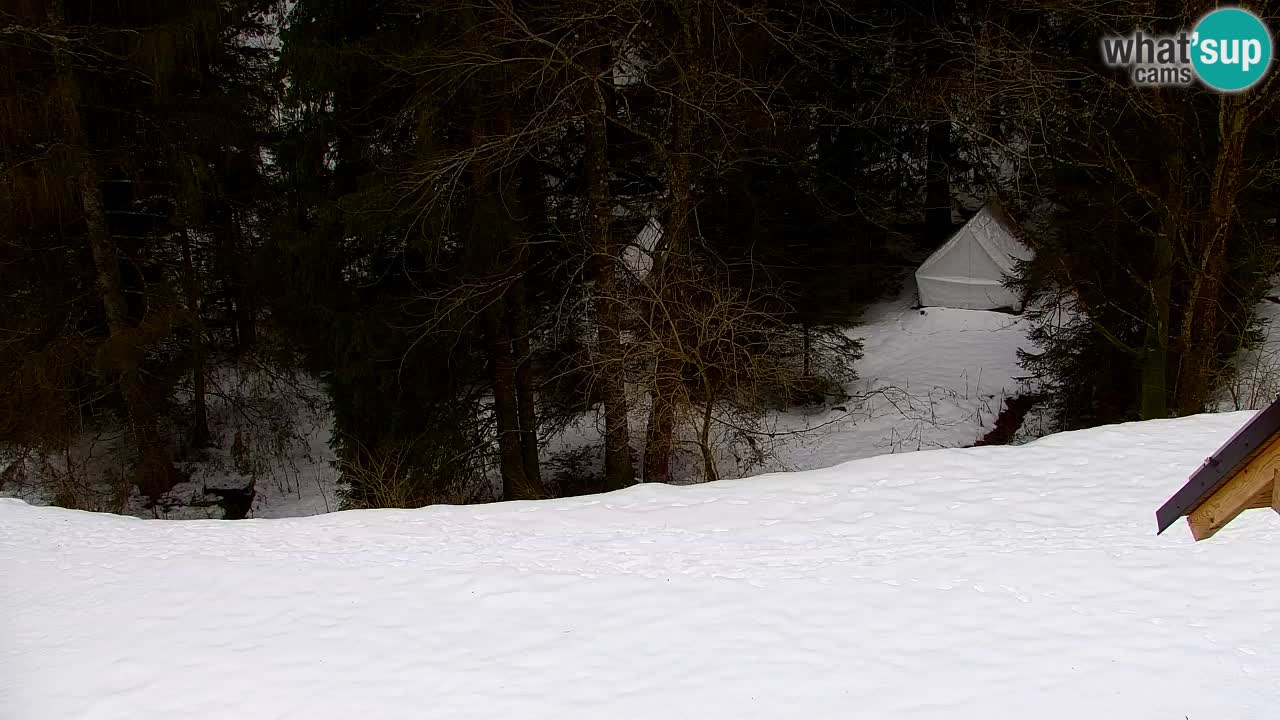 Webcam Lukanja – Pohorje houses a Water village
