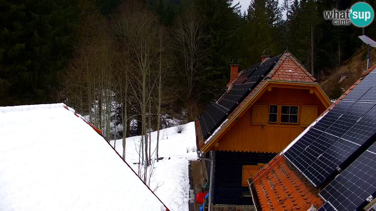 Webcam Lukanja – Water Village | Pohorje Houses