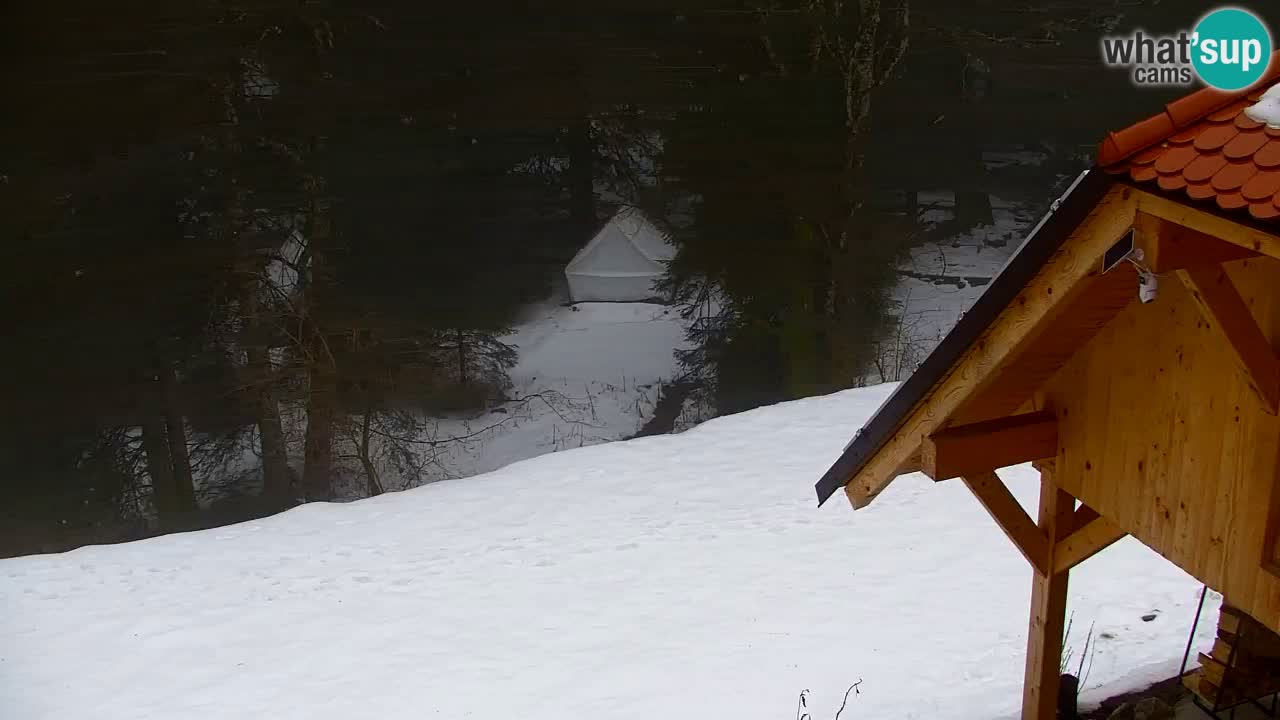 Webcam Lukanja – Water Village | Pohorje Houses