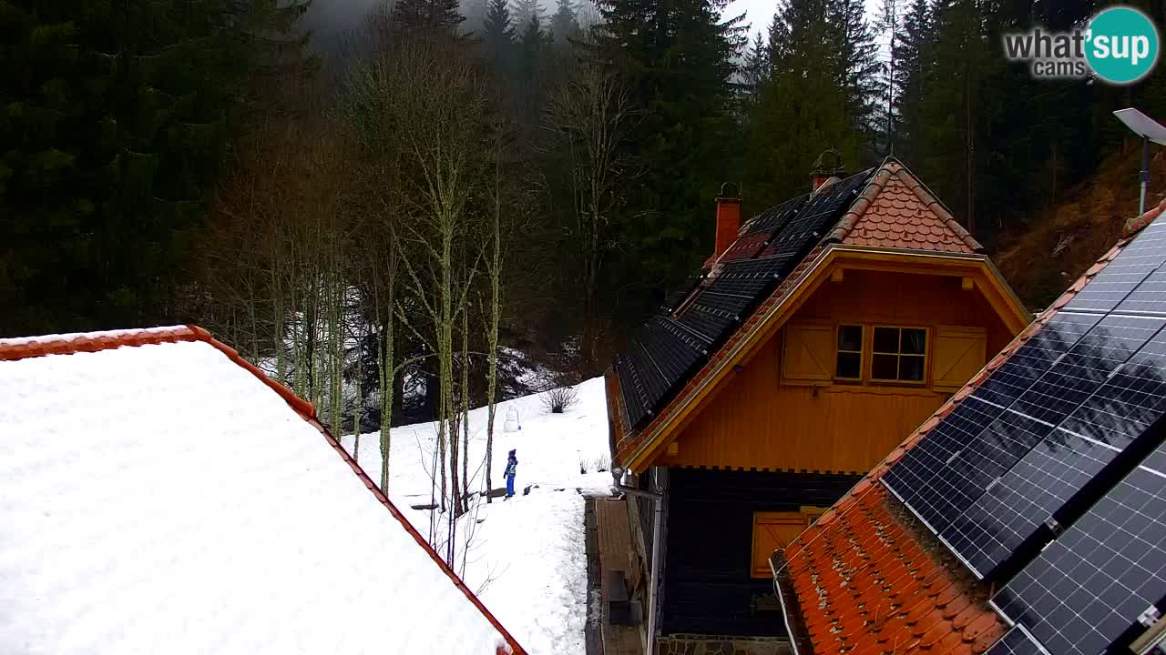 Spletna kamera Lukanja – Water Village | Pohorje Houses