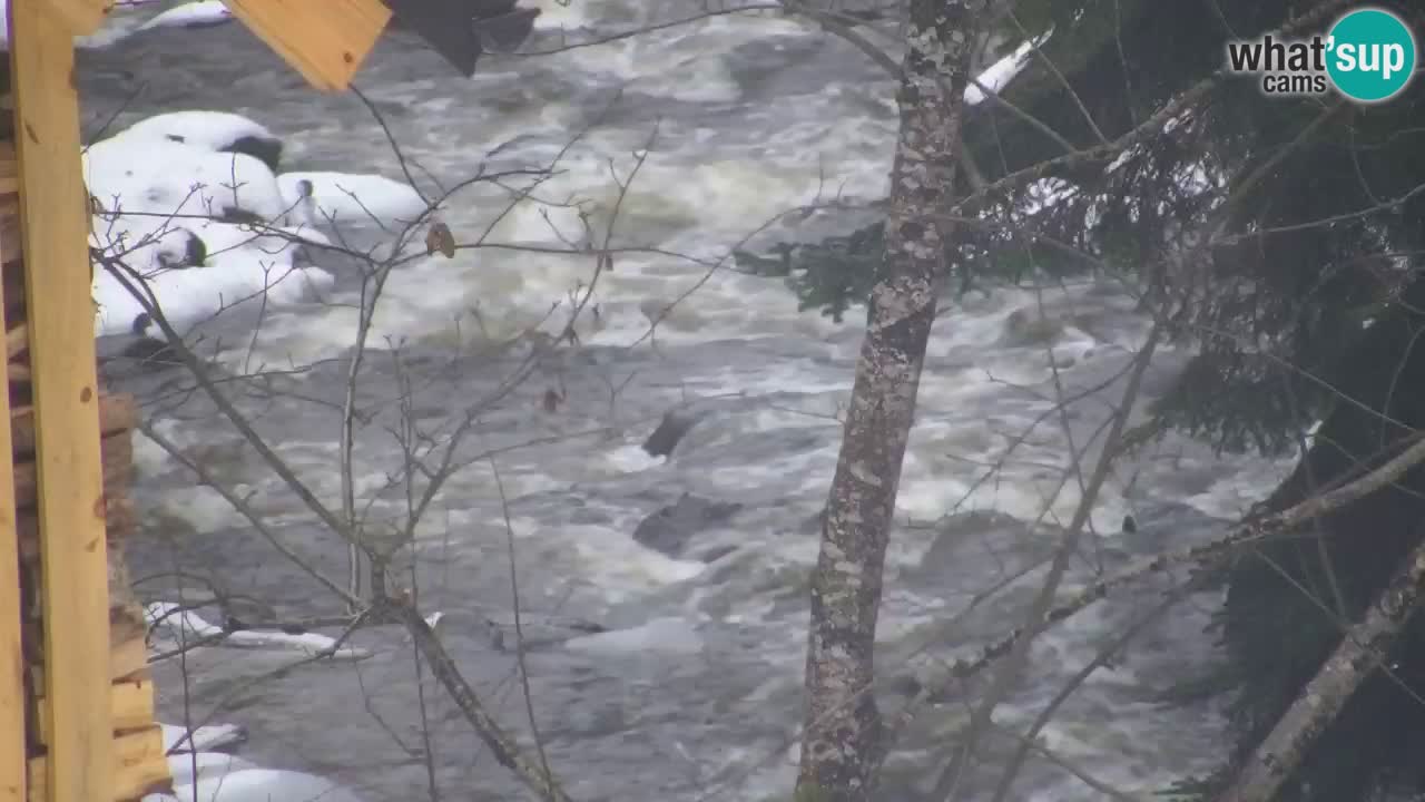 Webcam Lukanja – Water Village | Pohorje Houses