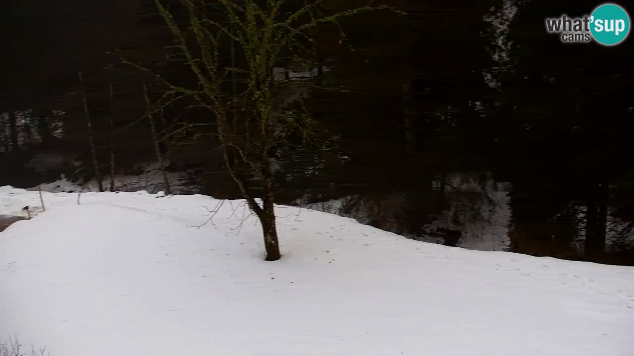 Webcam Lukanja – Pohorje houses a Water village