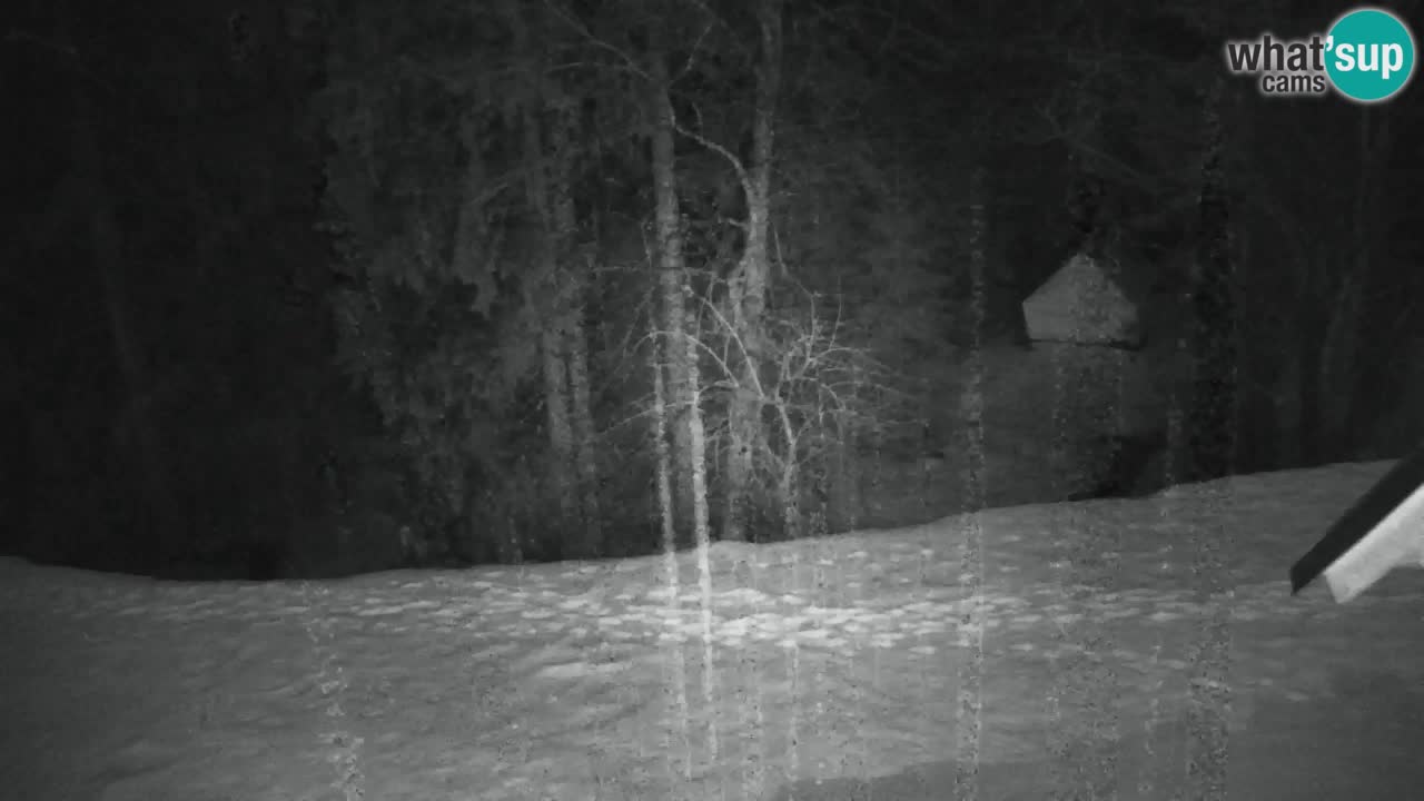 Webcam Lukanja – Water Village | Pohorje Houses