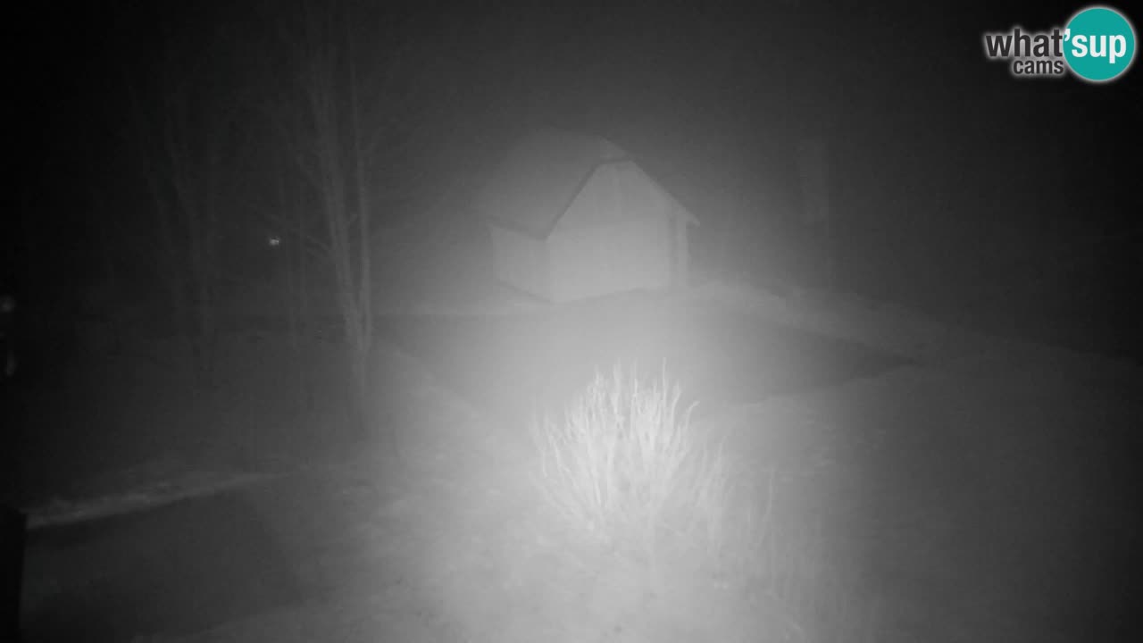 Webcam Lukanja – Water Village | Pohorje Houses