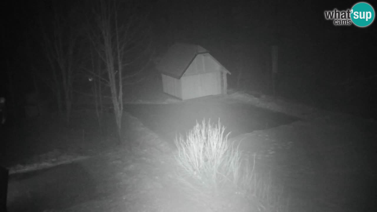 Webcam Lukanja – Water Village | Pohorje Houses