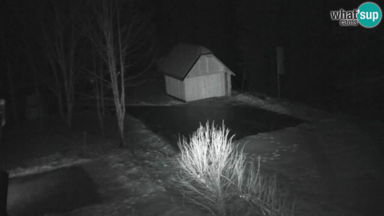 Webcam Lukanja – Water Village | Pohorje Houses