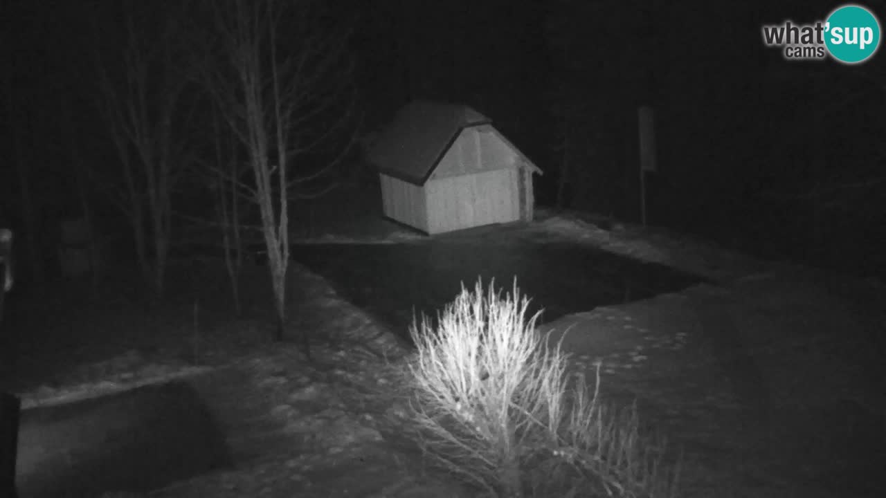 Webcam Lukanja – Water Village | Pohorje Houses